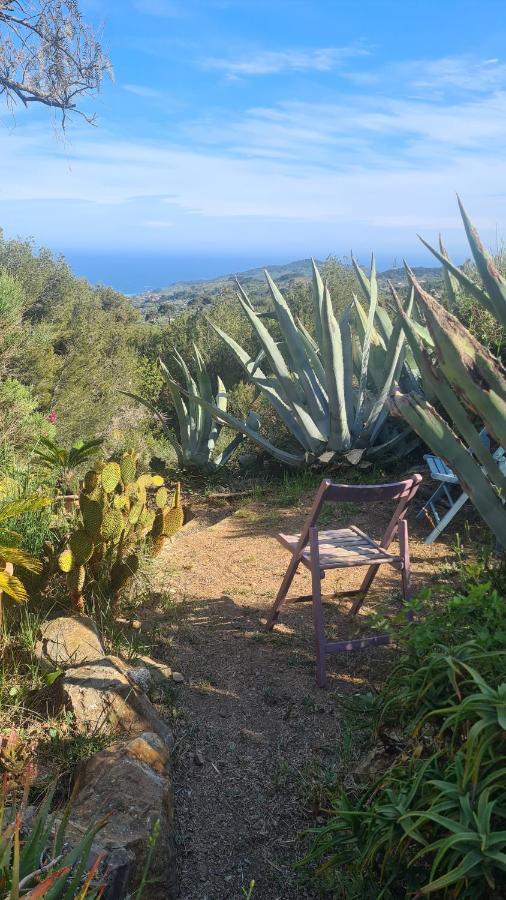 Casa Merea 16 Costa d'Oneglia Екстериор снимка