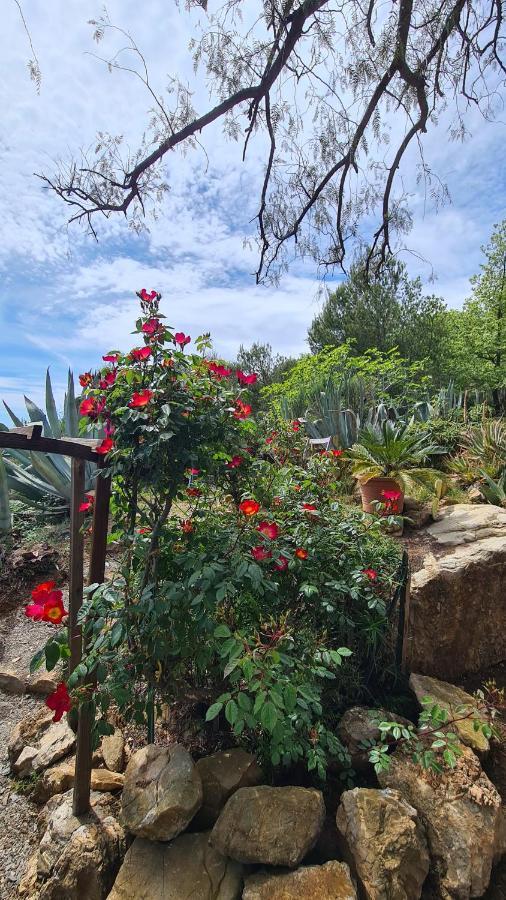 Casa Merea 16 Costa d'Oneglia Екстериор снимка