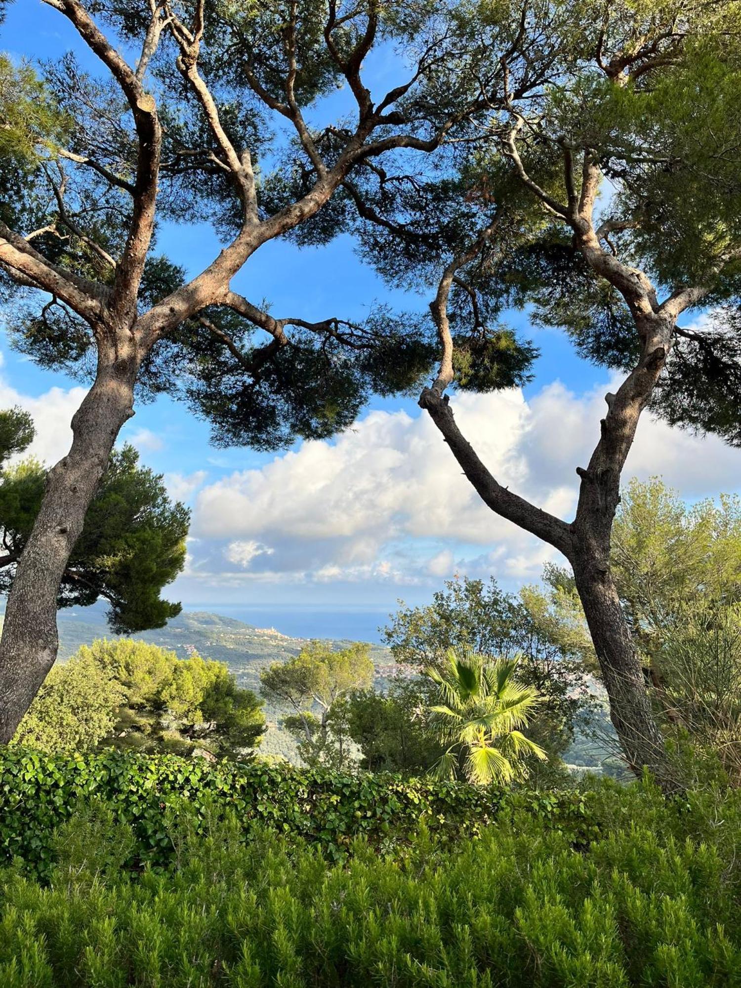 Casa Merea 16 Costa d'Oneglia Екстериор снимка